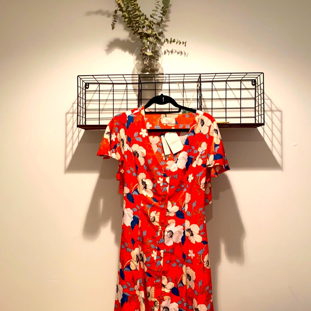 ANTHROPOLOGIE London Rose Open Back Dress